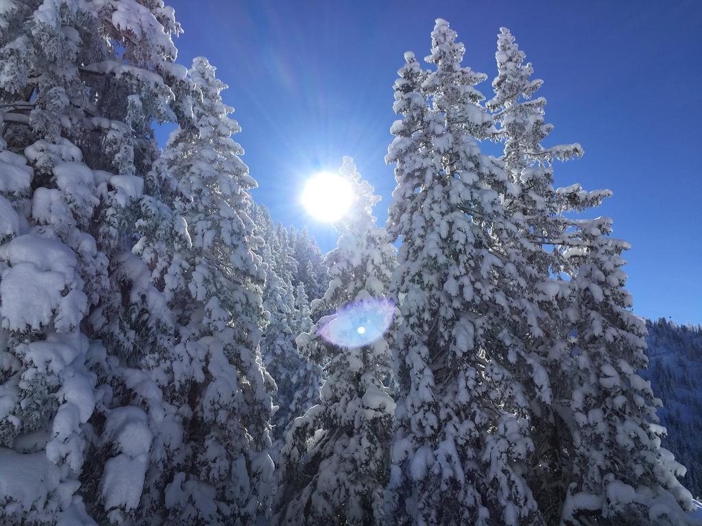 Das Alpbach Juwel Εξωτερικό φωτογραφία