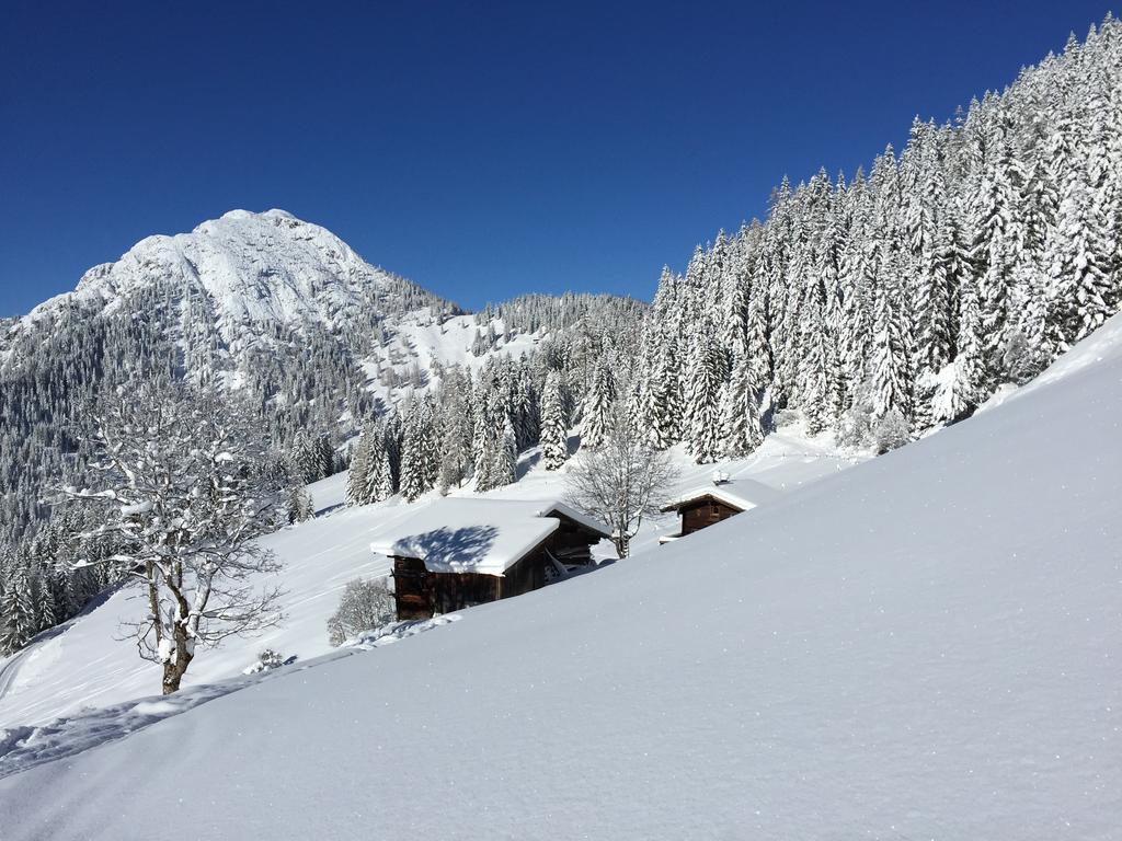 Das Alpbach Juwel Εξωτερικό φωτογραφία