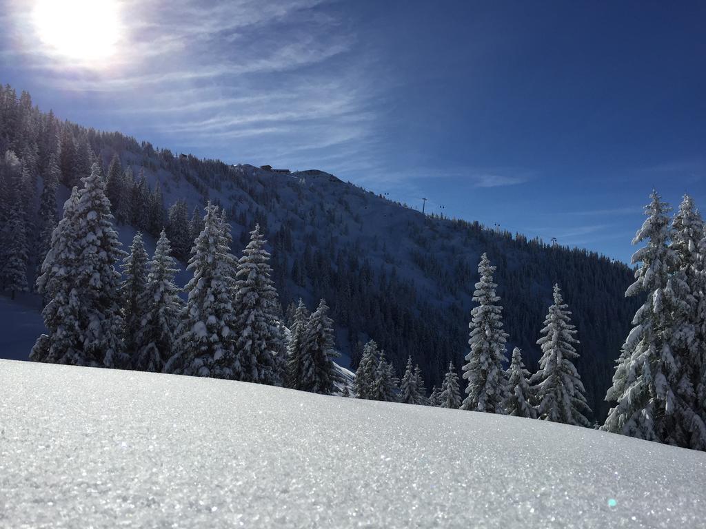 Das Alpbach Juwel Εξωτερικό φωτογραφία