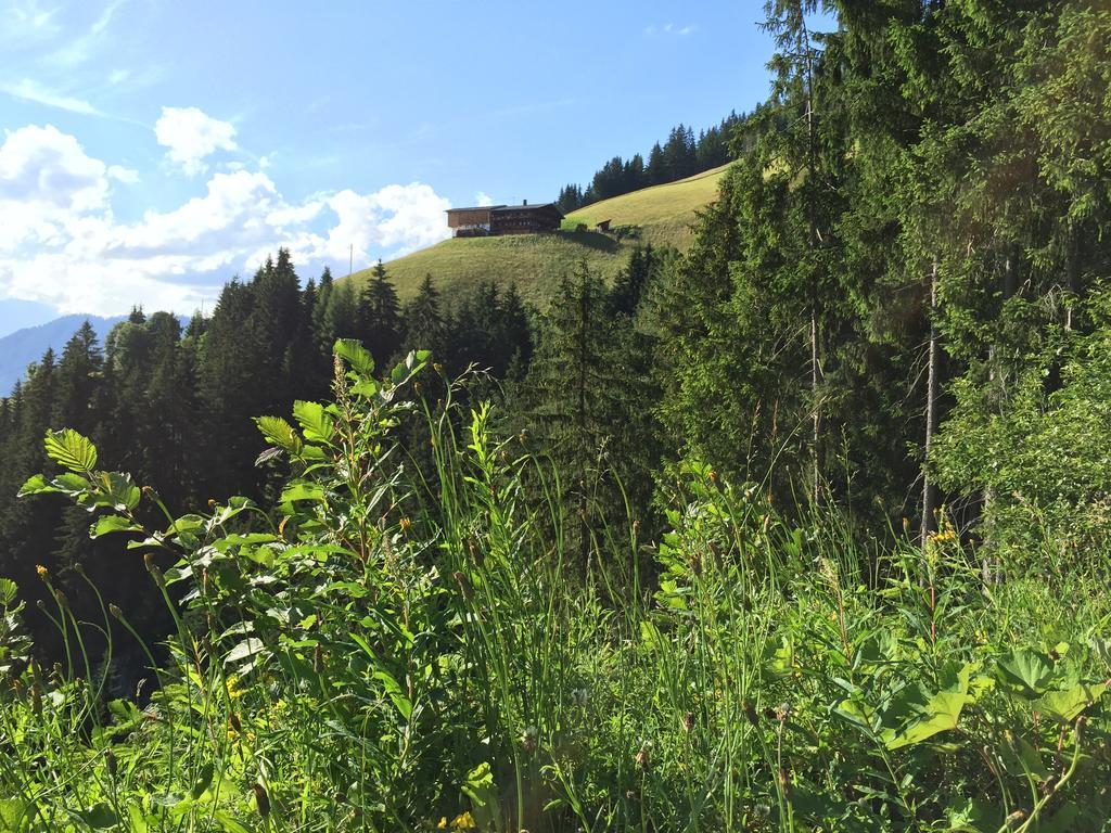 Das Alpbach Juwel Εξωτερικό φωτογραφία